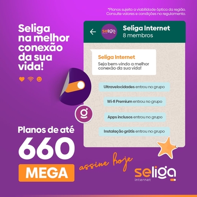 Se-liga internet