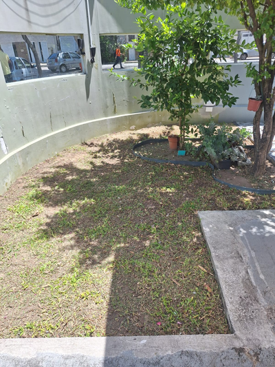 providencia-jardinagem-e-pinturag3212.webp