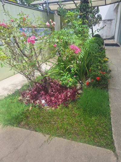 providencia-jardinagem-e-pinturag3218.webp